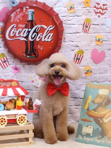 20230915うたちゃん